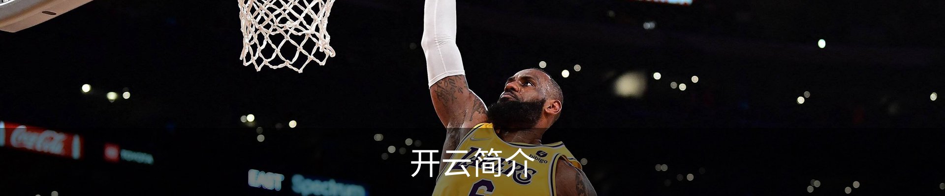 开云简介