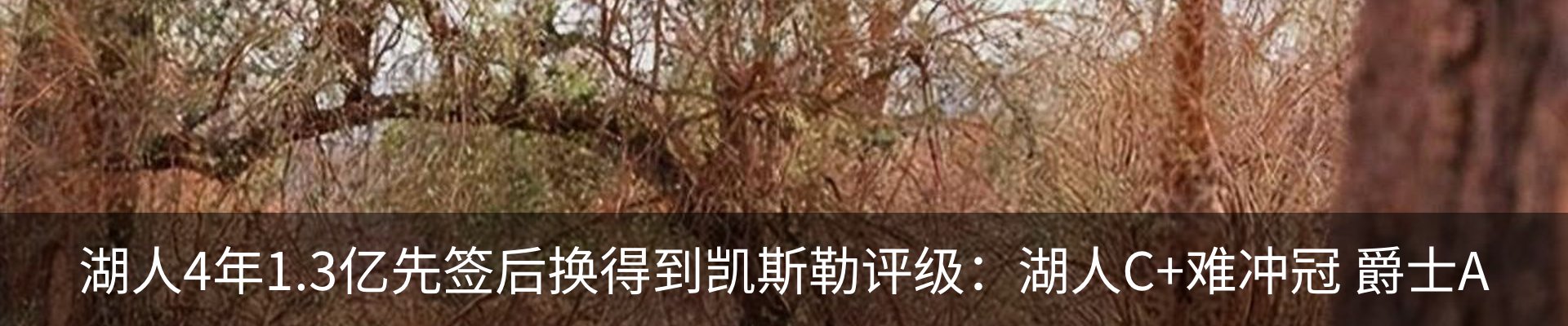 热点资讯
